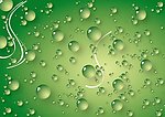 水珠