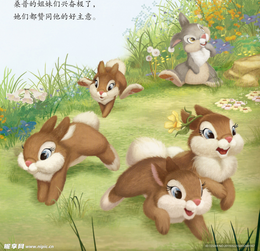 班尼兔