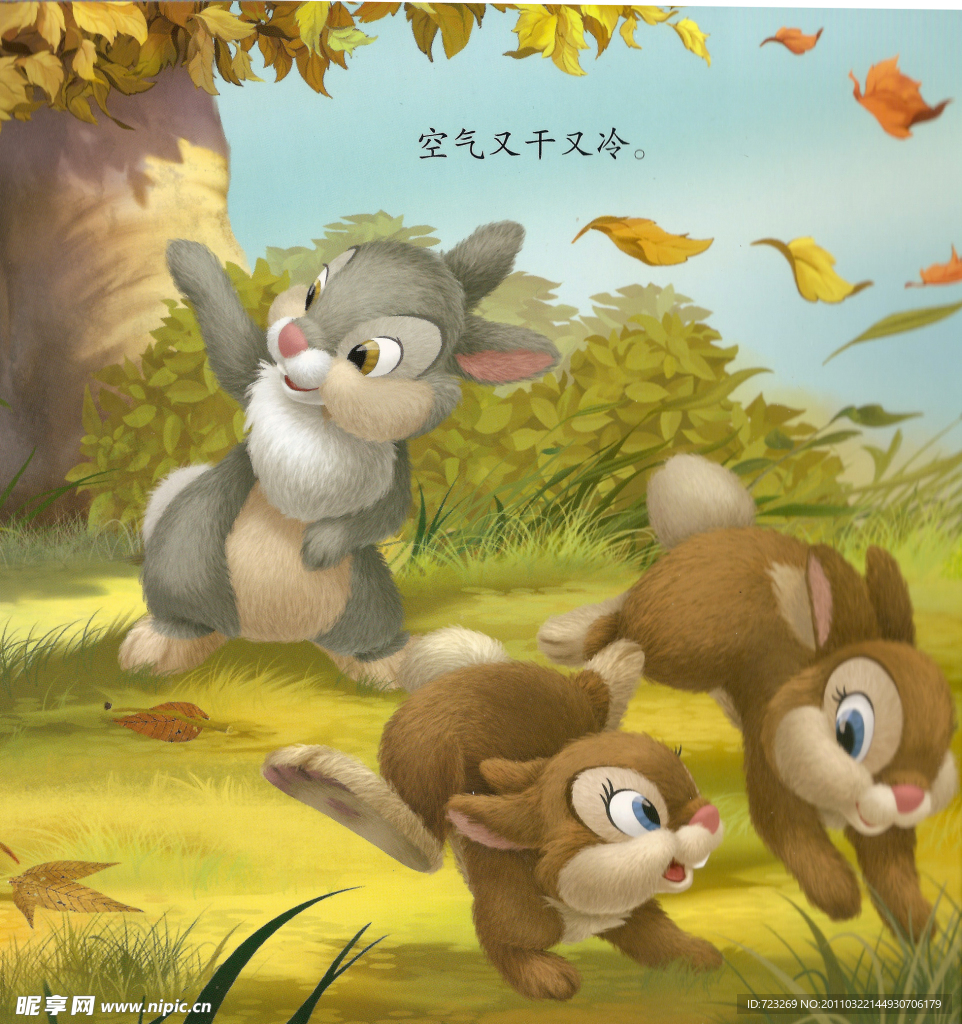 班尼兔