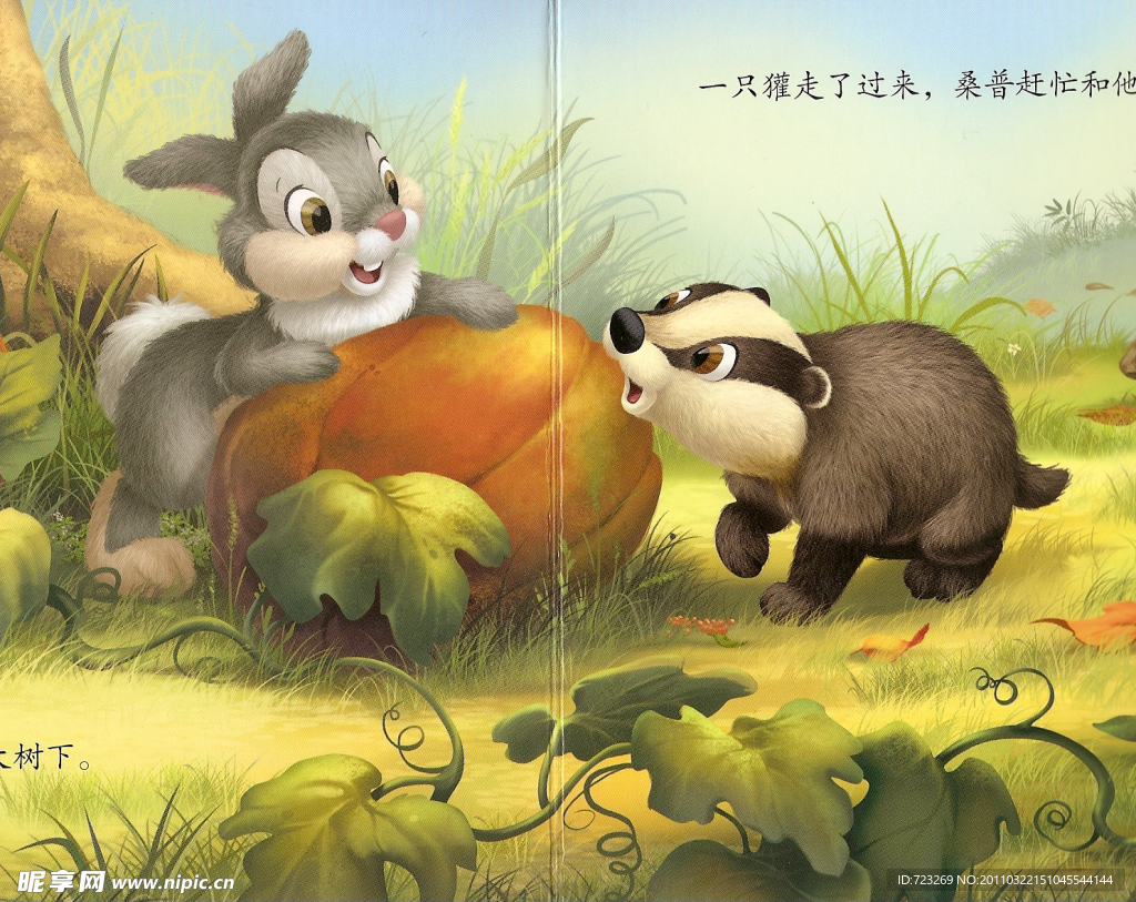班尼兔