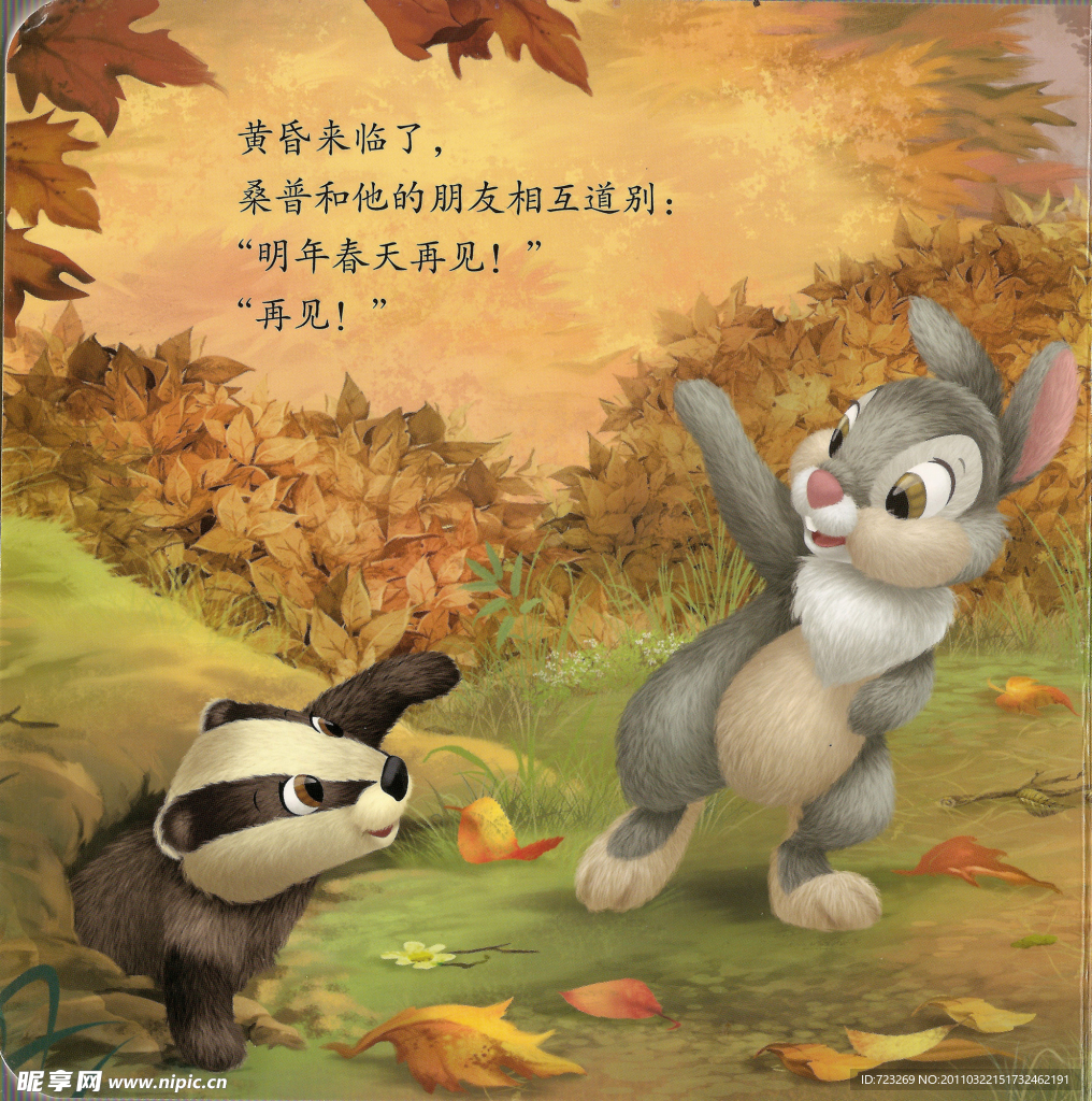 班尼兔
