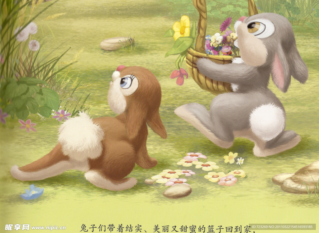 班尼兔