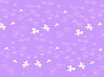 白色小花图