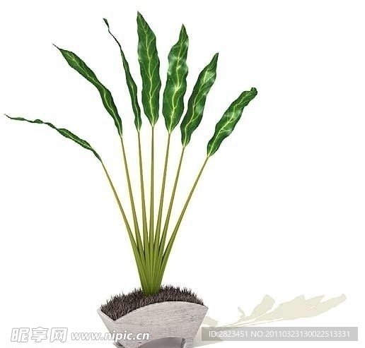 3D高精度室内植物花草