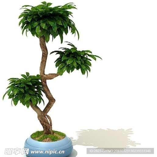 3D高精度室内植物花草