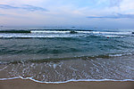 大海