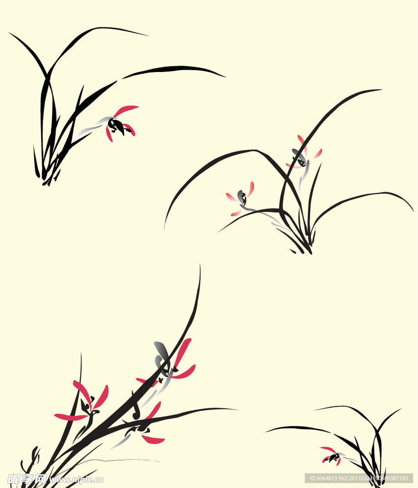 君子兰