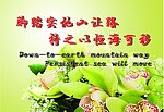 标语展板