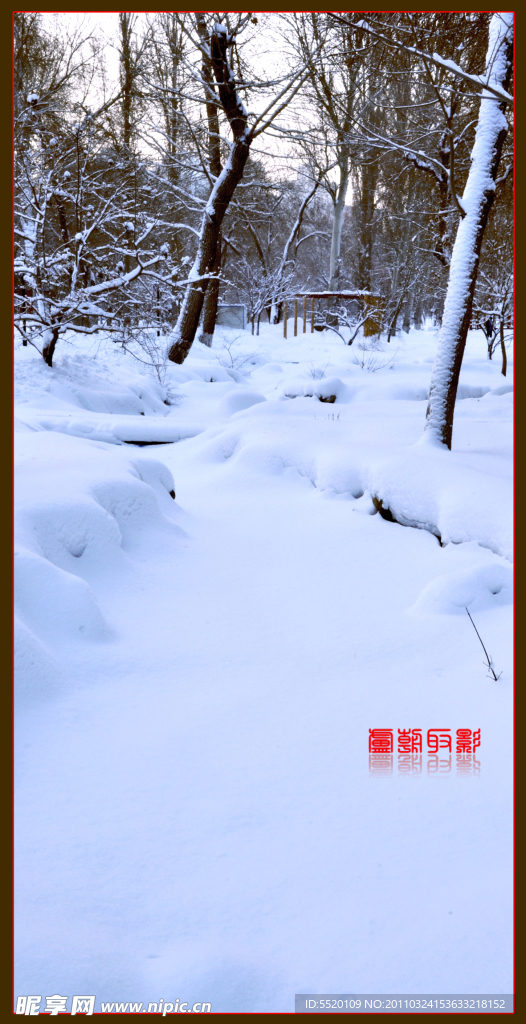 雪韵