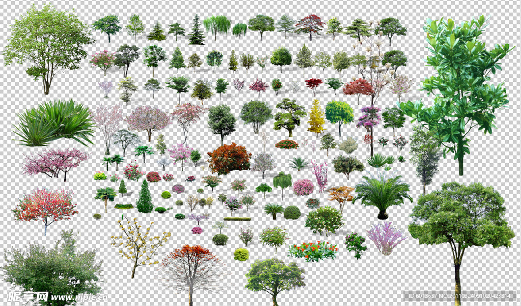 多类型分层树木(已完美抠图)