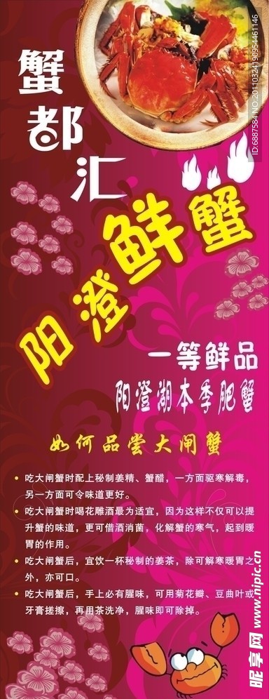 阳澄湖鲜蟹X展架