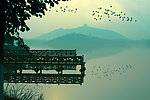 松湖晨曲