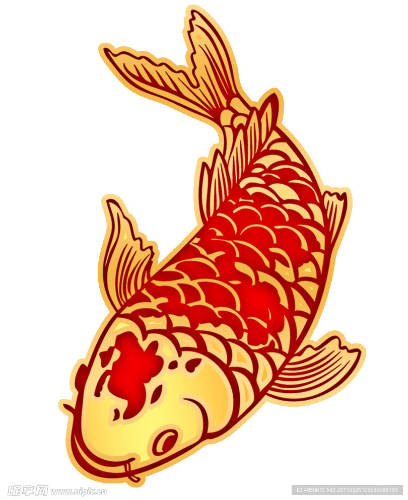 红线鲤鱼