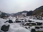 雪景