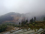 田野