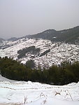 雪景