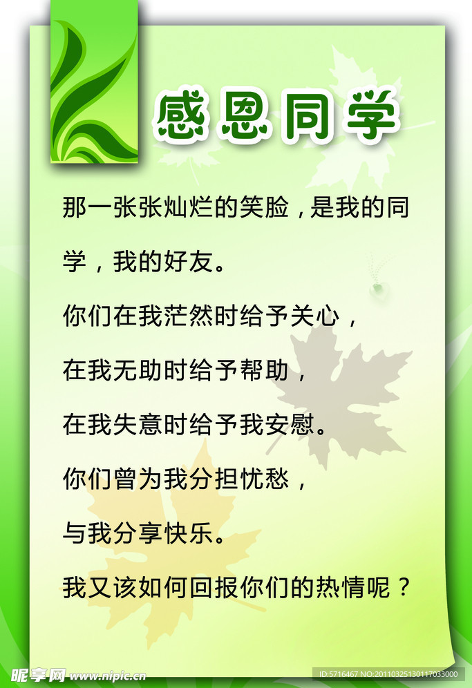 校园展板