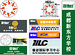 新东方学校LOGO 色标