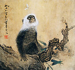 猿猴