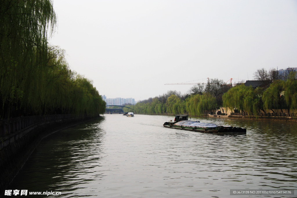 春风又绿运河岸