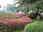 国窖广场