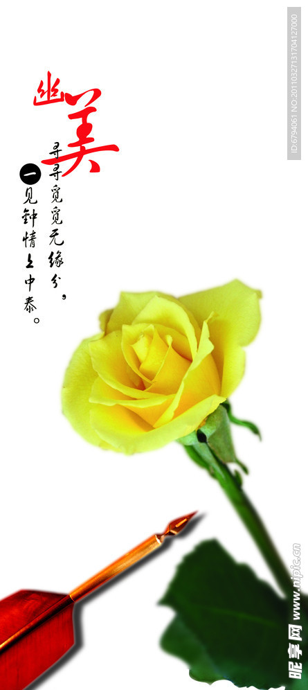 幽美 玫瑰