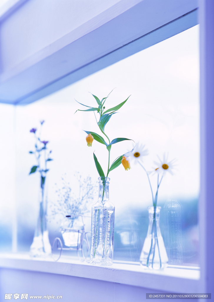 窗台上的花瓶鲜花