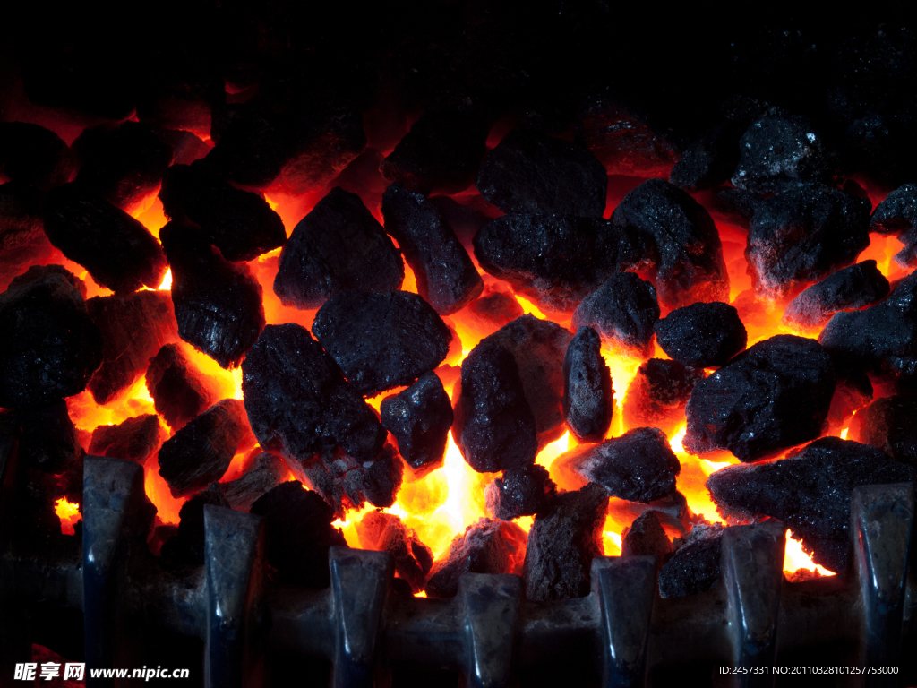 燃烧的木炭
