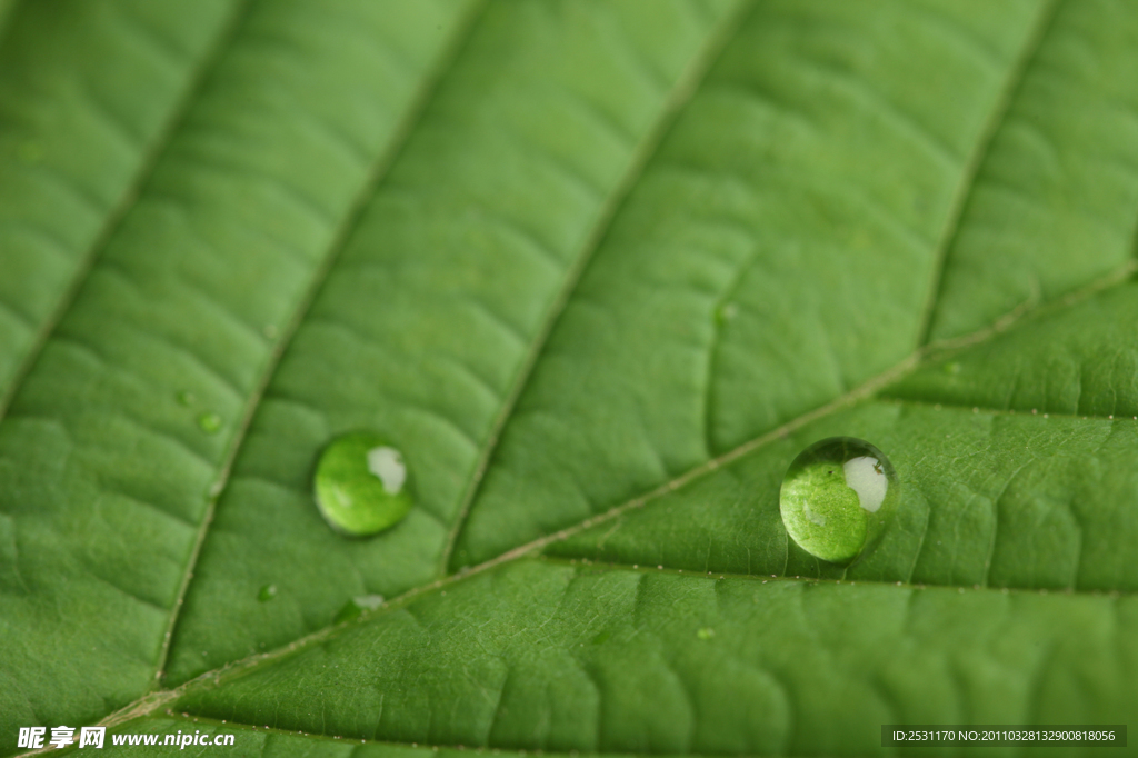 水珠