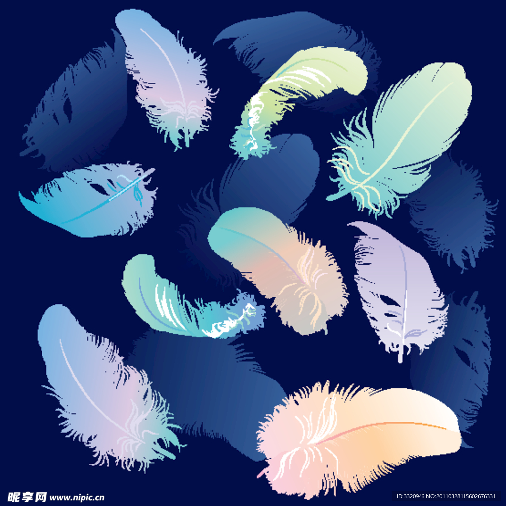 彩色羽毛矢量素材