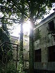 光圈