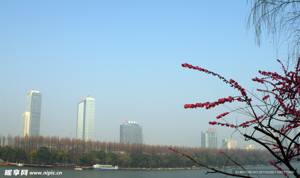 玄武湖