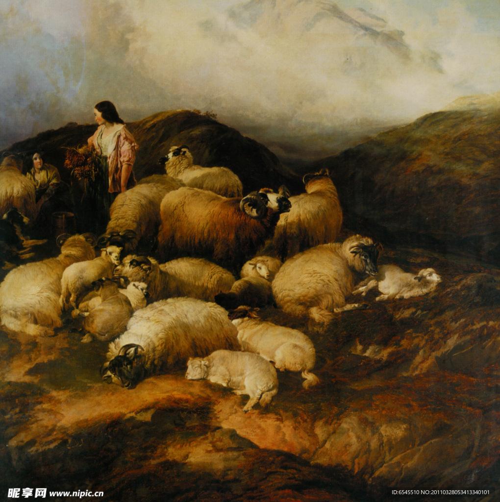 农民和羊