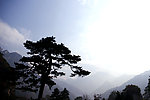 翠华山