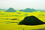 罗平风景