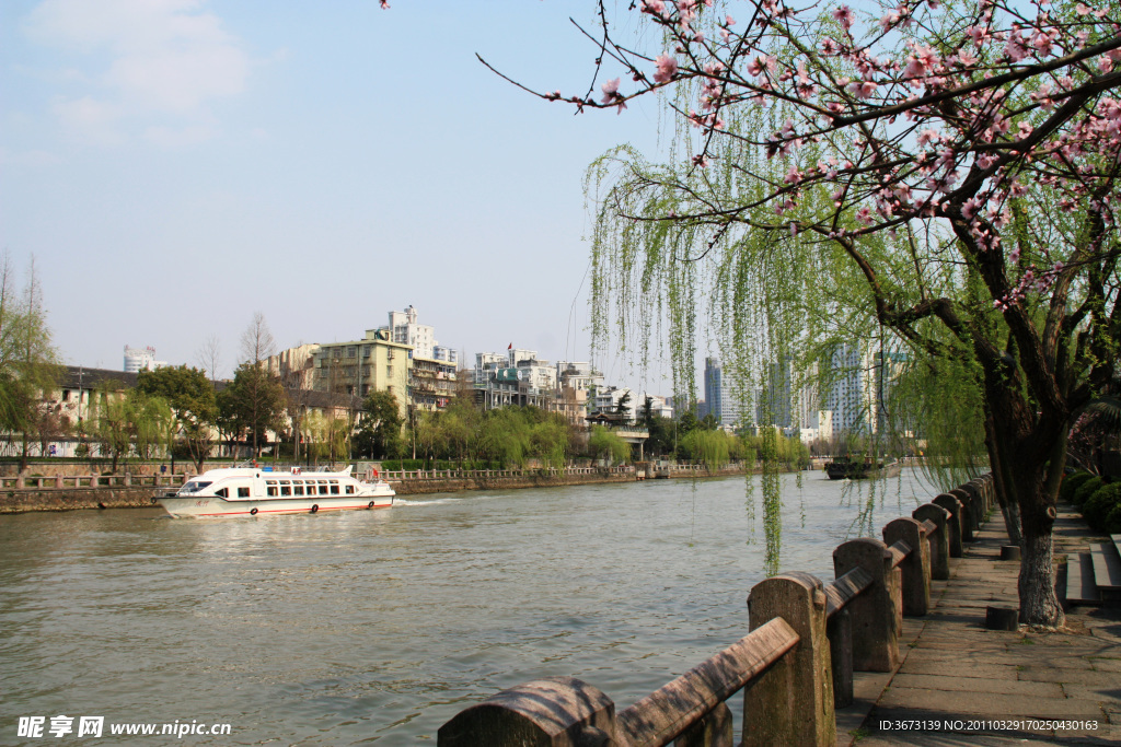 春回运河岸