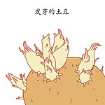 发芽的土豆