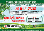 绿色土菜园
