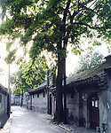 胡同 老房子