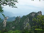 青山
