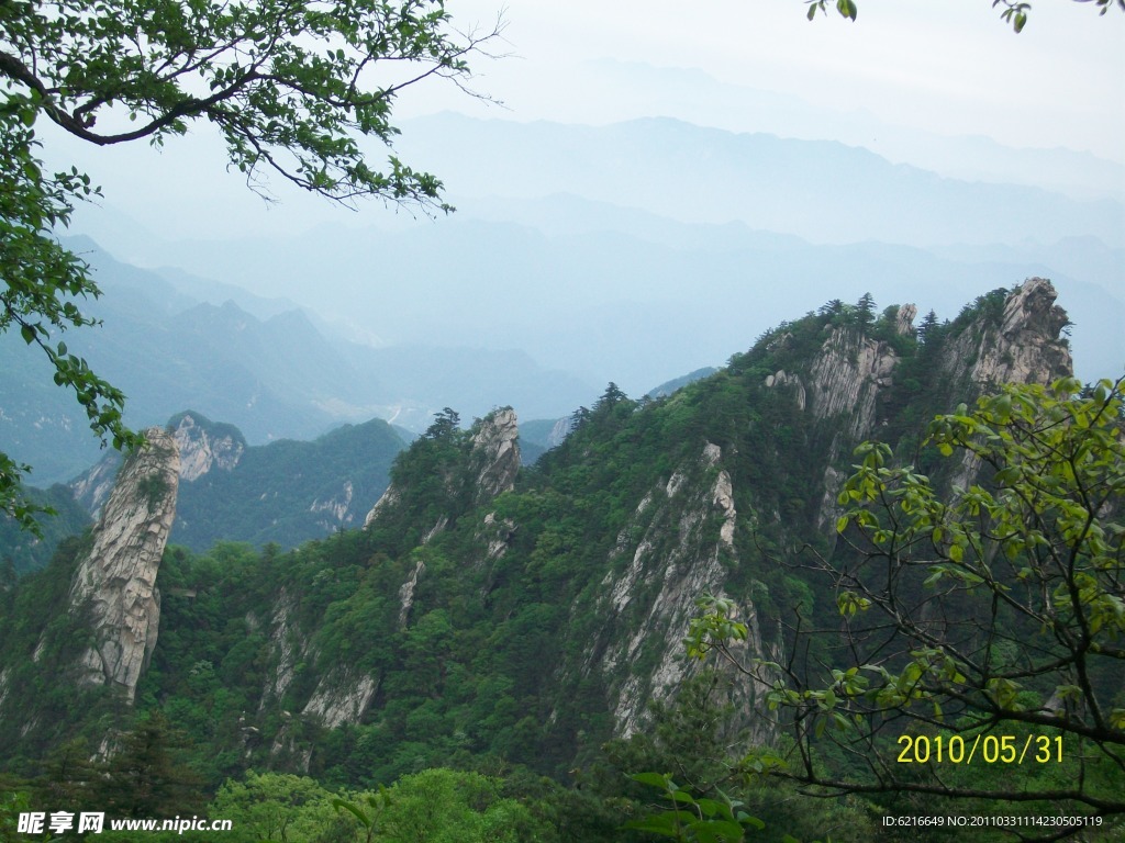 青山
