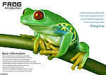青蛙画册设计