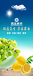 新鲜水果