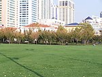 城市绿地
