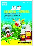 棉花药品彩页