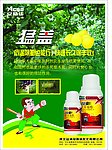 梨树药品彩页