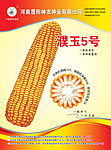 濮玉5号