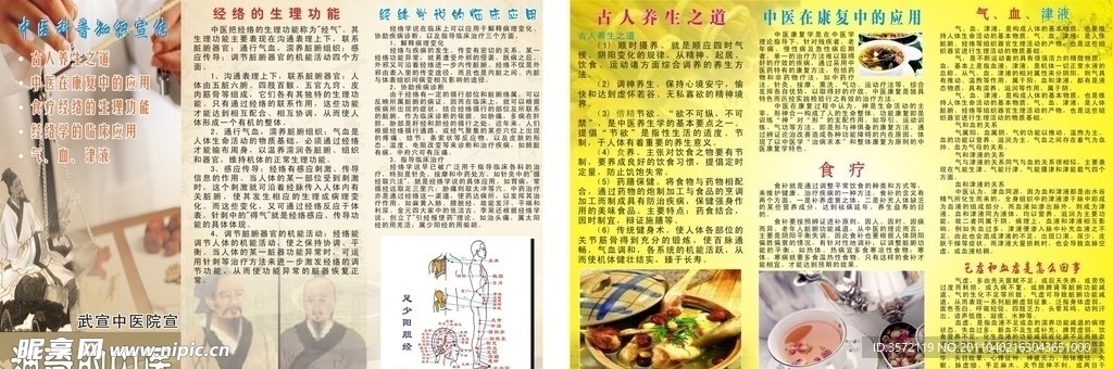 中医科普知识