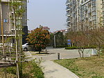 小区景观