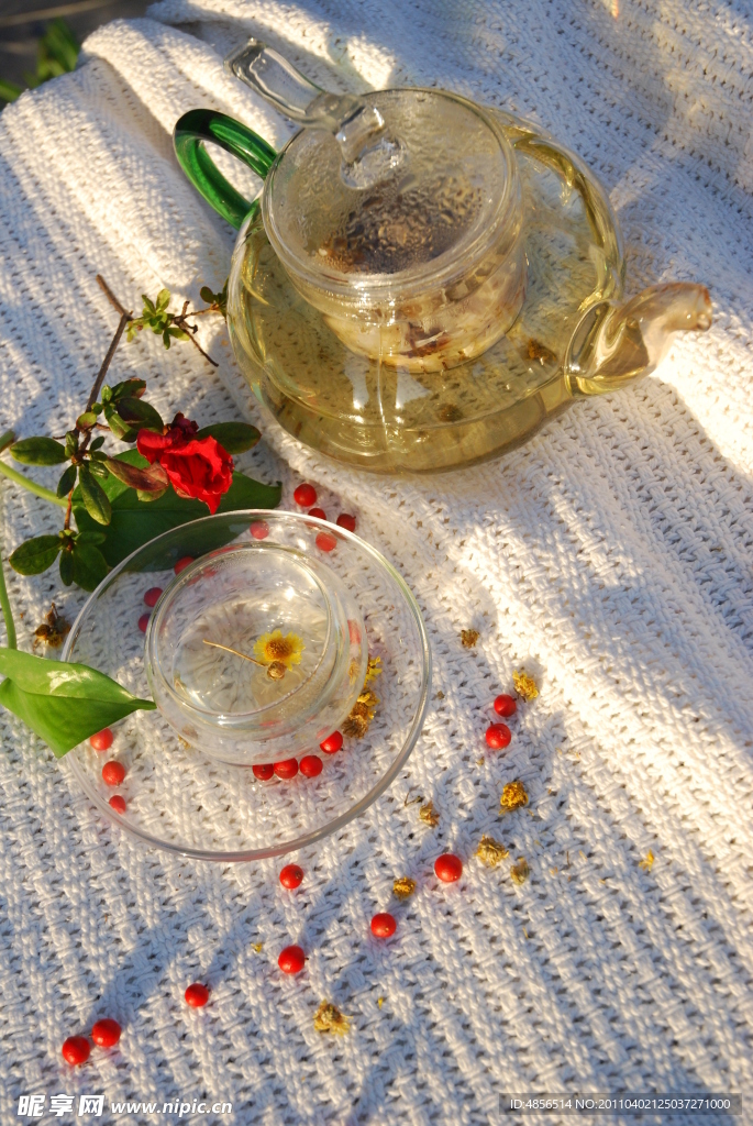 菊花茶